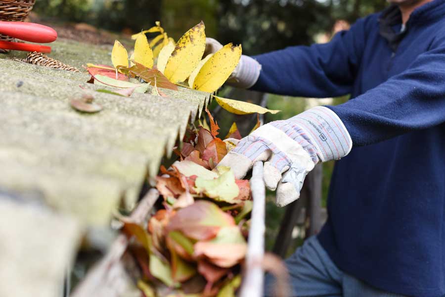 Gutter Cleaning Made Easy